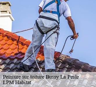 Peinture sur toiture bussy-la-pesle-58420 LPM Habitat