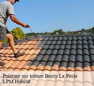 Peinture sur toiture 58420