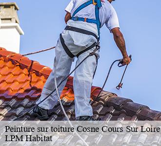 Peinture sur toiture cosne-cours-sur-loire-58200 LPM Habitat