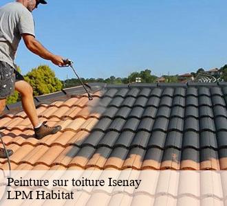 Peinture sur toiture 58290