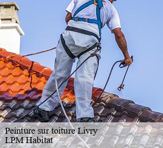 Peinture sur toiture livry-58240 LPM Habitat