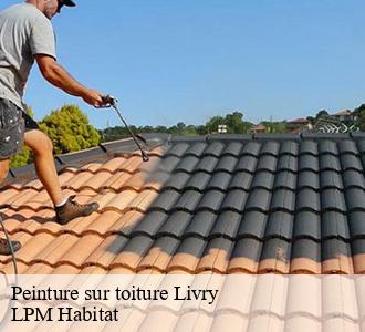 Peinture sur toiture 58240