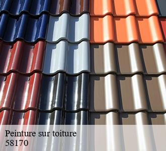 Peinture sur toiture  58170