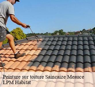 Peinture sur toiture 58470