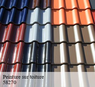 Peinture sur toiture 58270