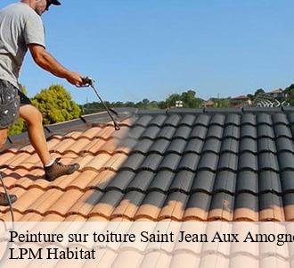 Peinture sur toiture 58270