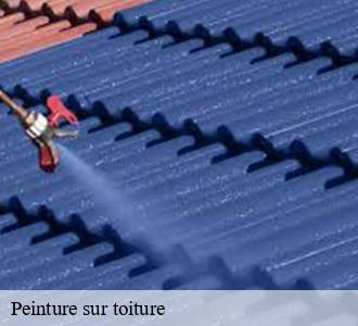 Peinture sur toiture 58270