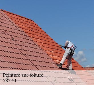 Peinture sur toiture 58270