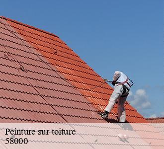 Peinture sur toiture 58000