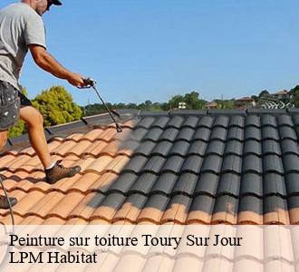 Peinture sur toiture 58240