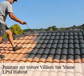 Peinture sur toiture 58500