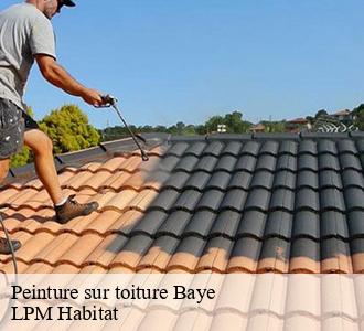 Peinture sur toiture 58110