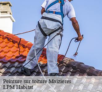 Peinture sur toiture maizieres-58150 LPM Habitat