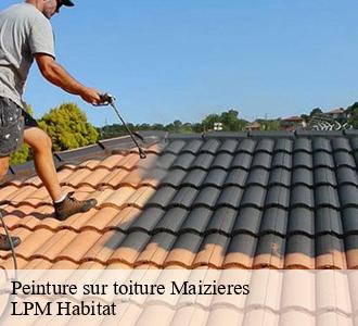 Peinture sur toiture 58150