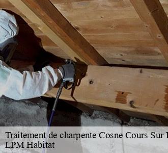 Traitement de charpente 58200