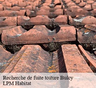 Recherche de fuite toiture 58400