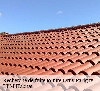 Recherche de fuite toiture druy-parigny-58160 LPM Habitat