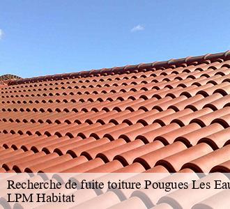 Recherche de fuite toiture pougues-les-eaux-58320 LPM Habitat