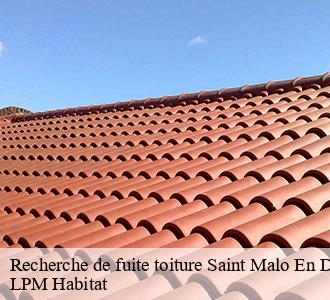 Recherche de fuite toiture saint-malo-en-donziois-58350 LPM Habitat