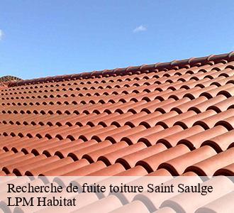 Recherche de fuite toiture saint-saulge-58330 LPM Habitat