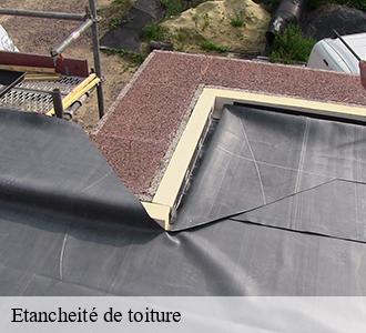 Etancheité de toiture  58170