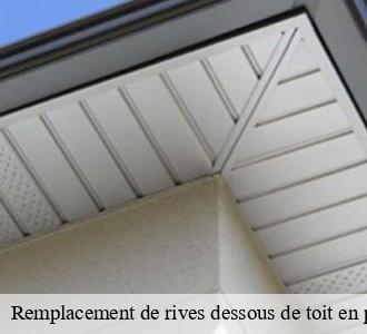 Remplacement de rives dessous de toit en pvc 58700