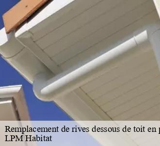Remplacement de rives dessous de toit en pvc 58250