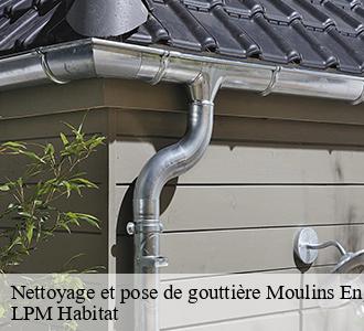 Nettoyage et pose de gouttière 58290