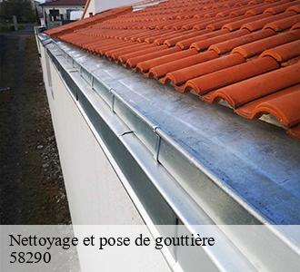 Nettoyage et pose de gouttière 58290