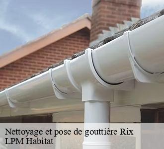 Nettoyage et pose de gouttière rix-58500 LPM Habitat