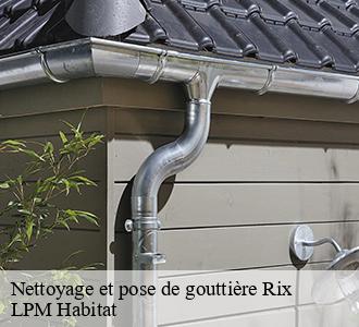 Nettoyage et pose de gouttière 58500