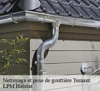Nettoyage et pose de gouttière 58250