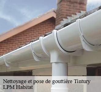 Nettoyage et pose de gouttière tintury-58110 LPM Habitat