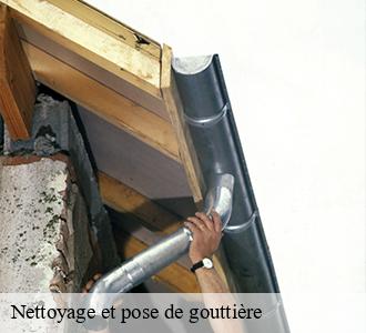 Nettoyage et pose de gouttière 58110