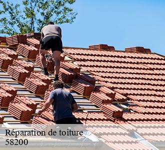 Réparation de toiture 58200