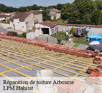 Réparation de toiture arbourse-58350 LPM Habitat
