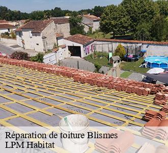 Réparation de toiture blismes-58120 LPM Habitat