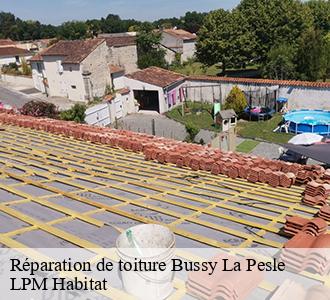 Réparation de toiture  bussy-la-pesle-58420 LPM Habitat