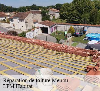 Réparation de toiture menou-58210 LPM Habitat