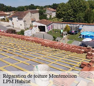 Réparation de toiture montenoison-58700 LPM Habitat
