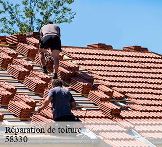 Réparation de toiture  58330