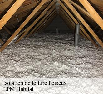 Isolation de toiture 58130