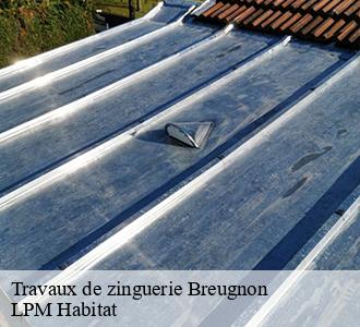 Travaux de zinguerie 58460