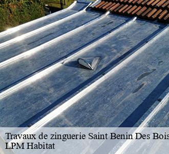 Travaux de zinguerie 58330